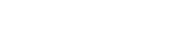 saviflex